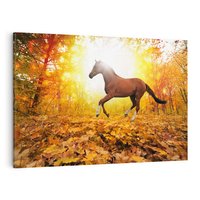 Obraz na płótnie 70x50 - Moc konia w zachodzie słońca - koń, słońce