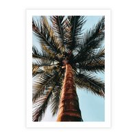 Plakat bez ramy 50x70 - Rajskie Inspiracje: Palma na Niebie - palma, na tle nieba