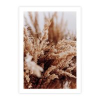 Plakat bez ramy 21x30 - Sztuka Suszonych Traw - trawa pampas, suszone trawy
