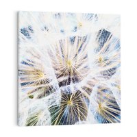 Obraz na płótnie 50x50 - marzenia w locie - dmuchawce, dmuchawiec