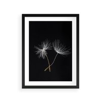 Plakat w ramie 40x50 - Delikatność Wiatru - dmuchawce, makro - rama czarna