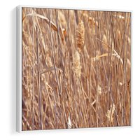 Obraz w ramie 80x80 - Mistrzowskie suche trawy - suche, trawy - rama biała