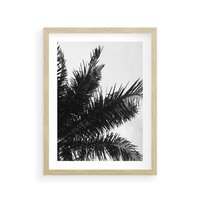 Plakat w ramie 30x40 - Czas Zapomnienia - palmy, czarno biała fotografia - rama drewno