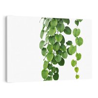 Obraz na płótnie 100x70 - Świeżość Natury - liście, zielone