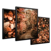 Zestaw obrazy w ramie 40x50 galeria - Liście, las, ścieżka - rama czarna