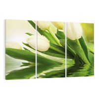 Obraz na płótnie 120x80 - Białe Piękno - białe, tulipany
