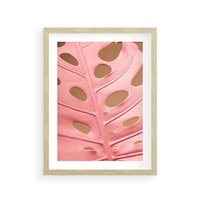 Plakat w ramie 50x70 - Różowa monstera w pełnym rozkwicie - różowa, monstera - rama drewno