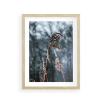 Plakat w ramie 30x40 - Zima na Łonie Natury - sucha wysoka trawa, w zimie - rama drewno