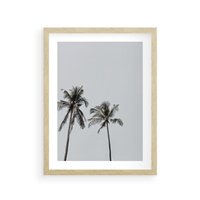 Plakat w ramie 40x50 - Tropikalny Raj: Palmy i Niebo - palmy, niebo - rama drewno