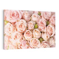 Obraz na płótnie 100x70 - Delikatność róż - piękno natury - róże, kwiaty