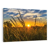 Obraz na płótnie 100x70 - "Zachód Słońca, Łąka - Magiczna Aura - zachód, słońca