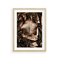 Plakat w ramie 40x50 - Samotny Liść - liść, brąz - rama drewno