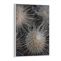 Obraz w ramie 50x70 - Ulotna Piękność Natury - makro, dmuchawce - rama biała