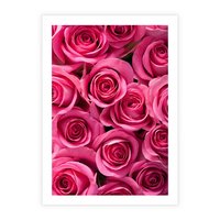 Plakat bez ramy 21x30 - Romantyczne róże w pełnym rozkwicie - róże, kwiaty