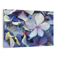 Obraz na płótnie 100x70 - Hortensja - delikatność kwiatów - hortensja, kwiaty