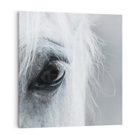 Obraz na płótnie 50x50 - Oko Mocy - czarno białe zdjęcie, zbliżenie makro na oko konia