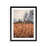 Plakat w ramie 30x40 - Jesienna Melancholia - suche trawy, jesień - rama czarna
