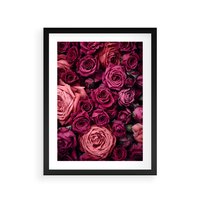 Plakat w ramie 30x40 - Róże - piękno kwiatów - róże, kwiaty - rama czarna