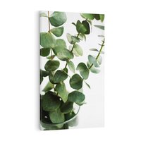 Obraz na płótnie 50x70 - Zielone eukaliptusy - eukaliptus, liście