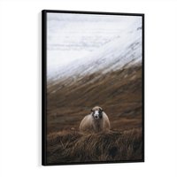 Obraz w ramie 50x70 - Owiecka panorama - góry, owca - rama czarna