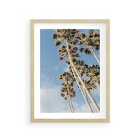 Plakat w ramie 30x40 - Pod Niebem Palmy - palmy na niebieskim niebie - rama drewno