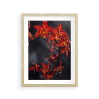 Plakat w ramie 30x40 - Kolorowy Raj - kwiaty, tropikalne - rama drewno