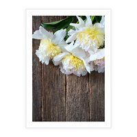 Plakat bez ramy 21x30 - Relaksująca Harmonia - kwiaty, spa