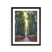 Plakat w ramie 50x70 - Urokliwa dróżka w lesie - las, dróżka - rama czarna