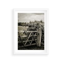 Plakat w ramie 50x70 - Wiejski Urok: Stary Płot i Kwitnący Krzew - rustykalne zdjęcie, stary płot - rama biała