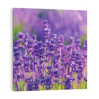 Obraz na płótnie 60x60 - Zaklęta lawenda - lawenda, kwiaty