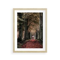 Plakat w ramie 40x50 - Spacer po Leśnej Drodze - ścieżka w lesie, jesień suche liście - rama drewno