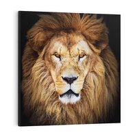 Obraz na płótnie 80x80 - Król zwierząt w majestatycznym stylu - lew, król