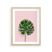 Plakat w ramie 30x40 - Egzotyczna Roślinność - liście, monstera - rama drewno