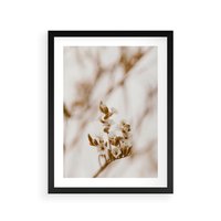 Plakat w ramie 40x50 - Kwiatowa suchość - kwiaty, susz - rama czarna