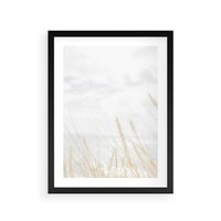Plakat w ramie 50x70 - Jasna Delikatność: Fotografia Suchych Traw - suche trawy, jasna fotografia - rama czarna