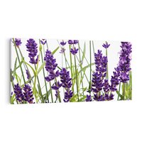 Obraz na płótnie 100x50 - Fioletowa harmonia lawendy - lawenda, fiolet