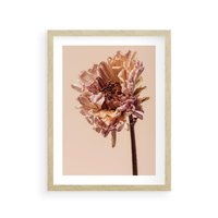 Plakat w ramie 30x40 - Delikatne piękno - suche, kwiaty - rama drewno