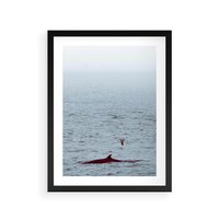 Plakat w ramie 50x70 - Spotkanie z Orką - morze, ocean - rama czarna