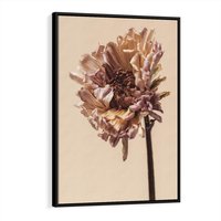 Obraz w ramie 70x100 - Delikatne piękno - suche, kwiaty - rama czarna