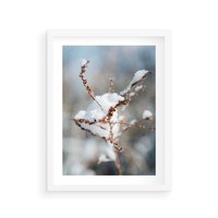 Plakat w ramie 50x70 - Zimowy Urok Natury - gałązki pod śniegiem, natura - rama biała
