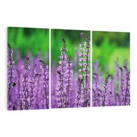 Obraz na płótnie 120x80 - Lawenda magia purpury - lawenda, kwiaty