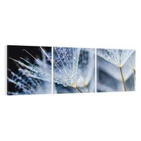 Obraz na płótnie 120x40 - Makro piękno dmuchawców - makro, dmuchawce