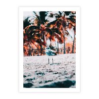 Plakat bez ramy 50x70 - Tropikalna Uroda: Plaża z Mewą - tropikalna plaża, mewa na piasku