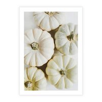 Plakat bez ramy 50x70 - Jesienne Dynie: Delikatna Kompozycja - białe dynie, jasna kompozycja