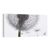 Obraz na płótnie 100x50 - Lekkość Przemijania - dmuchawiec, makro