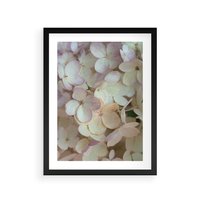 Plakat w ramie 40x50 - Kwiatowy taniec - kwiaty, hortensje - rama czarna
