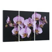 Obraz na płótnie 120x80 - Kwiatowy zachwyt pełen kolorów - kwiat, kwiaty