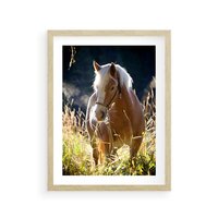 Plakat w ramie 50x70 - Spotkanie konia na łące - koń, łąka - rama drewno