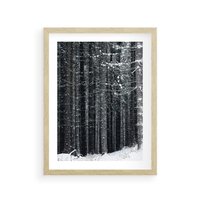 Plakat w ramie 30x40 - Leśna Cisza: Malowniczy Pejzaż Zimą - las zimą, ośnieżone pnie drzew - rama drewno