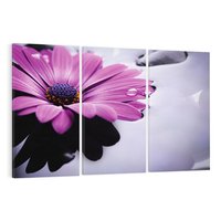 Obraz na płótnie 120x80 - kwiatowa harmonia - kwiat, SPA